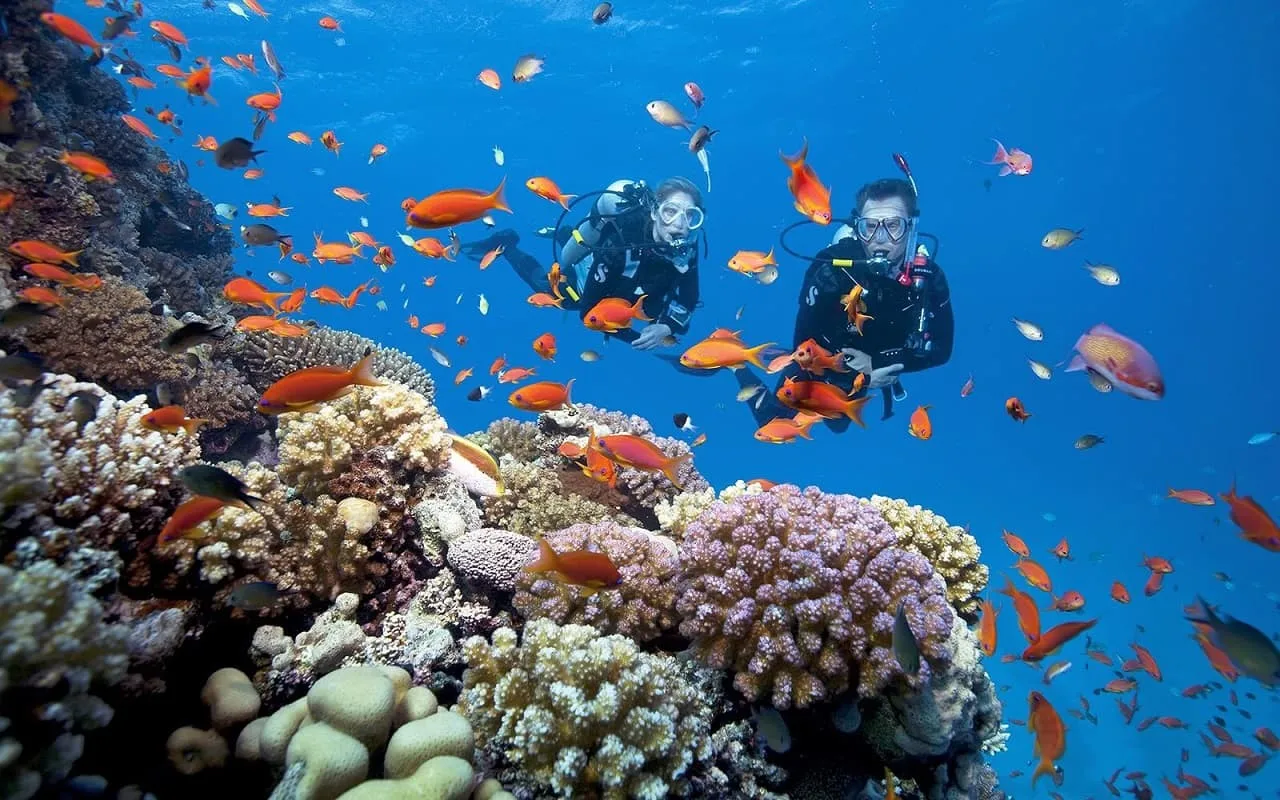 Khám phá lặn ngắm san hô Hòn Tằm Nha Trang cùng ULATOUR